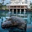 Keauhou Beach Resort