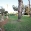 Papouis Protaras Hotel