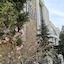 Iris Hotel & Spa