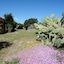Residence Baia Salinedda