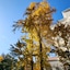 Hongqiao State Guest Hotel Shanghai