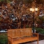 Hilton Garden Inn Fairfax