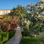Kavros Resort