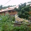 Phuttachot Resort Phi Phi
