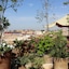Riad Al Ksar & Spa