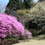 Senkyoro