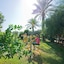 M.C Mahberi Beach Hotel – All Inclusive