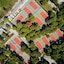 Selectum Luxury Resort Belek