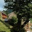 Le Hameau Du Pas Du Loup