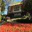 Mae-Sa Valley Farm Stay Resort