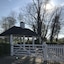 The White Swan
