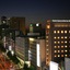 Tokyo Dai-Ichi Hotel Nishiki