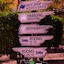 Buddy Dive Resort