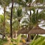 Tropical Attitude - Adults Only