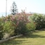 Leonidas Hotel And Studios