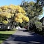 Ashleigh Court Motel-Christchurch Hagley Park