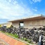 Phoenix Island
