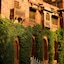 Ajit Bhawan - A Palace Resort