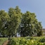 Relais Du Château D'arche