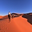 Palmeras Y Dunas