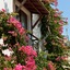 Kalamar Hotel