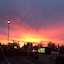 Quality Inn & Suites Lacey I-5