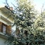 Villa Caterina