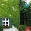 Brauereigasthof-Hotel Aying