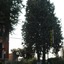 Hotel Tuscolano