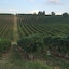 Agriturismo Borgo Delle Vigne