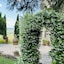 Villa Schiatti