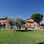 Fattoria Querceto