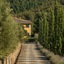 Dievole Wine Resort