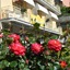 Hotel Eva La Romantica