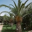 Flow Datca Surf & Beach Hotel
