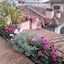 Antica Dimora Johlea - Antiche Dimore Fiorentine