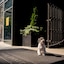 Park Hyatt New York