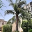 Hotel La Palma