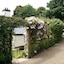 Frogwell