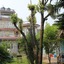 Hotel Fishtail Villa
