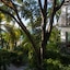 Siboney Beach Club