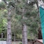 Natyral Razma Resort