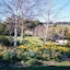 Wombat Hills Cottages