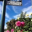 Peter Allen Motor Inn