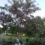 Wenzler's Landing Bed & Breakfast