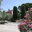 Le Madaleno