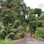Villas De Oros