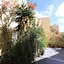 Ersi Villas
