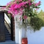 Hotel Thira