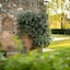 La Posada Del Moro